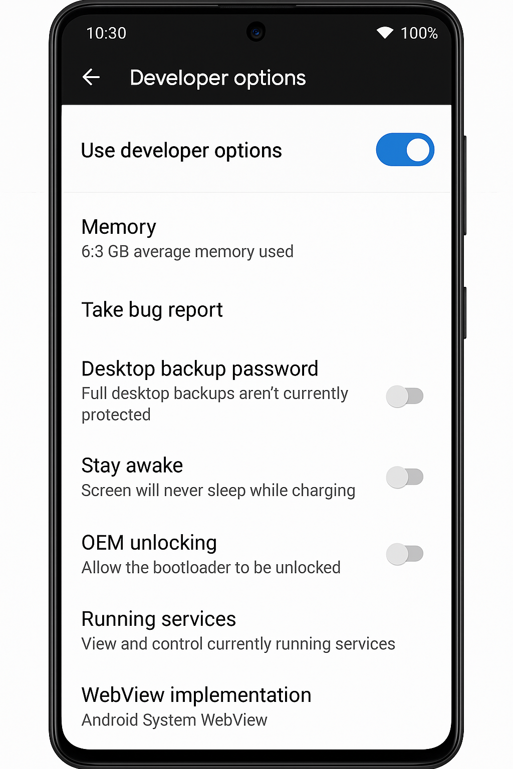Developer options on Android